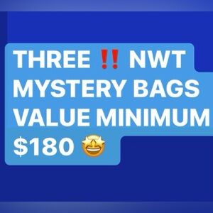 Mystery Bags Set of Three  Bundle NWT Leather or Vegan Leather Min Val $180 Bags